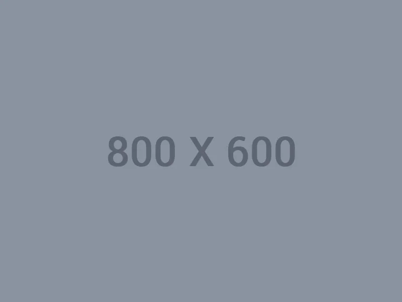 捷报比分
